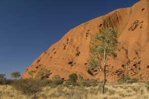 Uluru #15