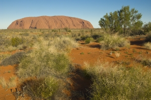 Uluru #27