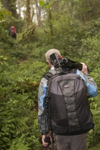 Witherill and Goldsmith hiking through the cloud forest to a study site in the elfin forest. Field work required long days in the field carrying heavy packs of camera and video gear on top of thirty to forty pounds of climbing equipment. Elfin Forest, Monteverde Cloud Forest Reserve, Monteverde, Puntarenas, Costa Rica.