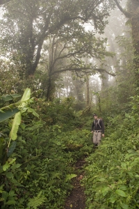 Greg with Arc'teryx jacket and Black Diamond pack in elfin cloud forest.  Elfin forest, Beyond La Ventana, Monteverde Cloud Forest Reserve, Monteverde, Puntarenas, Costa Rica.