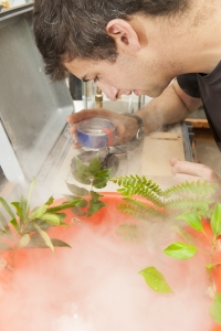 Collaborating ecologist Greg Goldsmith simulates cloud cover by exposing plant samples to a fog machine. Goldsmith then looks for evidence of decreased drought stress in the leaves. His work is the first to demonstrate that plants in tropical montane cloud forests are capable of taking water in directly through their leaf surfaces. Goldsmith's work combines laboratory experiments with field work in an attempt to understand the effects of global climate change on montane cloud forest plant functioning. Instituto de Monteverde, Monteverde, Puntarenas, Costa Rica.