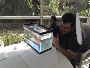 Behind the Scenes shooting for Meet Your Neighbours aquarium setup.