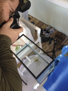 Behind the Scenes shooting for Meet Your Neighbours aquarium setup.